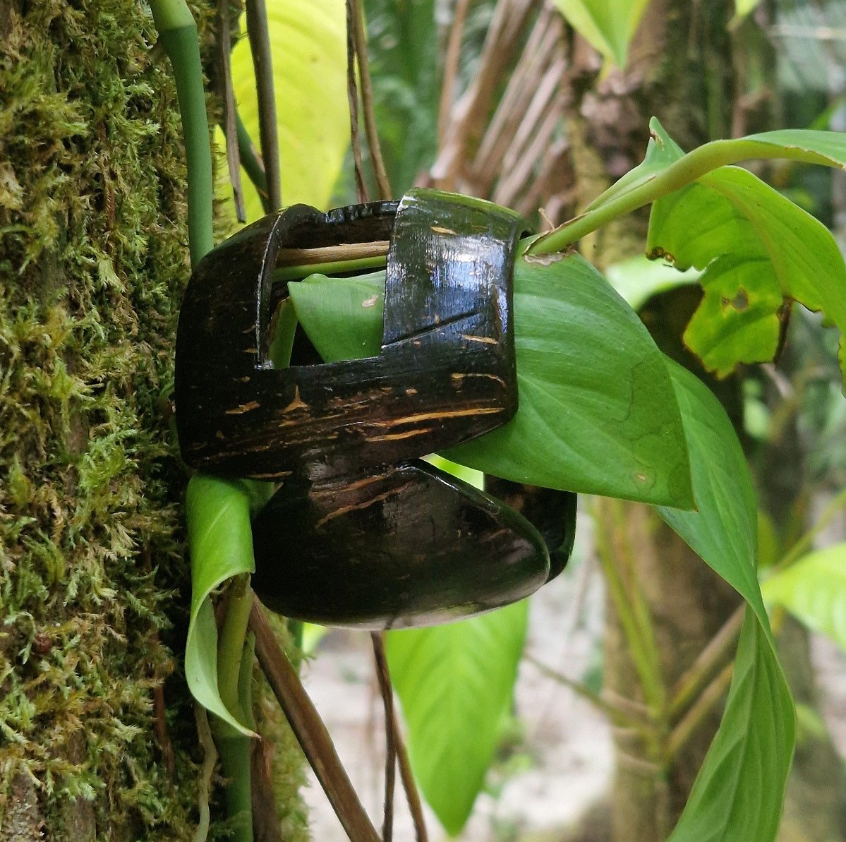 SIMON BRACELET #04